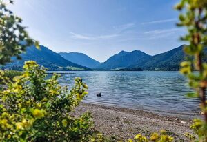 Ferienwohnung Auszeit am See