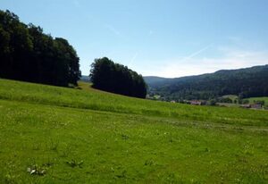 Feriendorf Ulrichsgrün – Familie Wutz – Feriendorf Ulrichsgrün Familie Wutz - Ferienhaus für 2-6 Personen