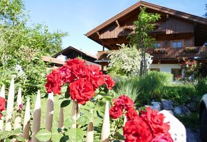 Gästehaus Ankelspitz – Ferienwohnung im Souterrain online