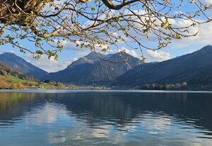 Ferienwohnungen am See - Hinterseer – Ferienwohnung 1