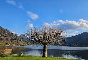 Ferienwohnungen am See - Hinterseer – Ferienwohnung 1