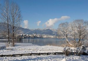 Ferienwohnung Seeblick