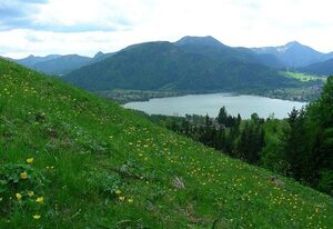 Bergerhof Tegernsee