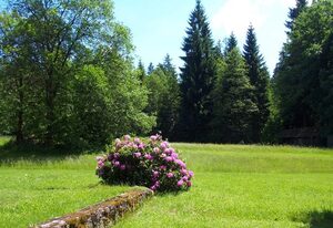 Fewo Schächtelschleif