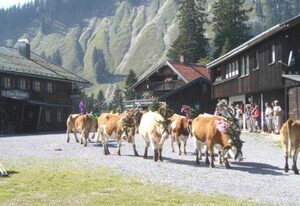 Berggasthof Obere Firstalm – Doppelzimmer