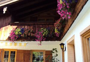 Gästehaus Fischer – Doppelzimmer  25 qm Süd Parterre
