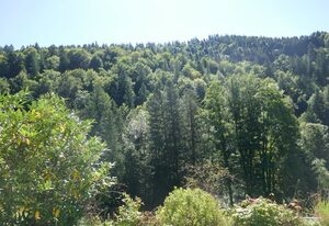 Bodenschneidsuiten Das Gschwandler