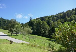 Bodenschneidsuiten Das Gschwandler