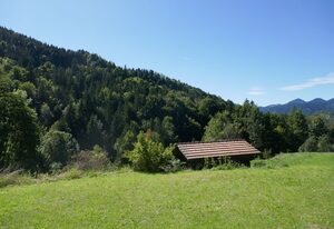 Bodenschneidsuiten Das Gschwandler
