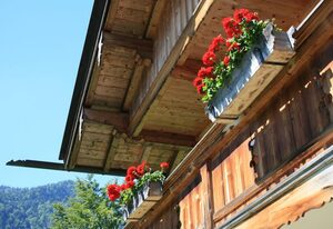 Aribohof – Ferienwohnung #4