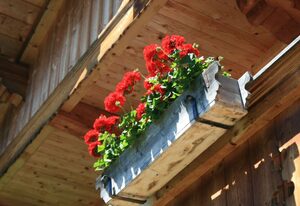 Aribohof – Ferienwohnung #4
