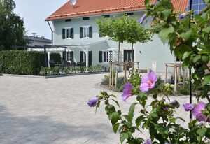 Ferienhaus am Donauspitz