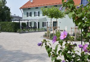 Ferienhaus am Donauspitz