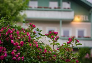 Gartenhotel Salzach***garni – Einzelzimmer