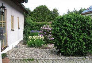 Ferienwohnung Spitzner