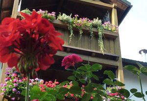 Ferienwohnung Hofer – Ferienwohnung Gartenblick- 3 Personen, 45qm, Balkon mit schöner Aussicht