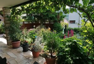 Ferienwohnung am sonnigen Hang