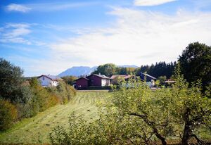 Ferienwohnung Dallinger