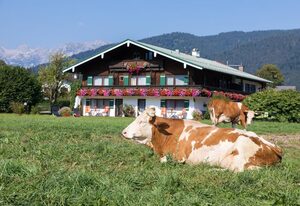 Ferienwohnung Drachllehen – Appartement Hohes Brett, 2 Personen, Ostbalkon mit Bergblick