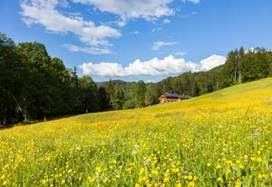 Haus Bergruh – Ferienwohnung Kehlstein, für 1-2 Personen, ein separates Schlafzimmer