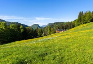 Haus Bergruh – Ferienwohnung Kehlstein, für 1-2 Personen, ein separates Schlafzimmer