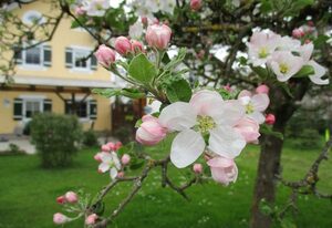 Ferienhaus Mühlfeldner – Ferienhaus 86 qm, 2 Schlafzimmer, Wohnzimmer mit Schlafcouch, Terrasse und Garten