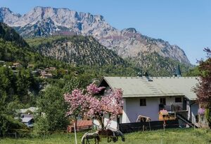Haus Schiller – Panorama-Ferienwohnung Göllblick für 4 Personen mit Balkon und Terrasse, ruhige Lage