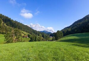 Hartlerlehen Rasp – Ferienwohnung Kneifelspitze, für 2 Personen
