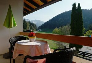 Gästehaus Meisl – Doppelzimmer mit Dusche und WC, Balkon