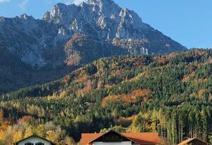 Ferienwohnung Reiter – Barrierefreie Ferienwohnung 94 qm, 3 separate Schlafzimmer, Terrasse