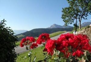 Haus Freynend – Fewo 3 Alpentraum- 3 Personen, 50qm, 1 Schlafzimmer, Balkon, grandiose Aussicht