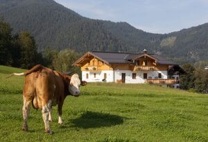 Ferienwohnung Hirnsberglehen – Silberg 1-4 Personen, 57m², 1 SZ, 1 WSZ, Balkon