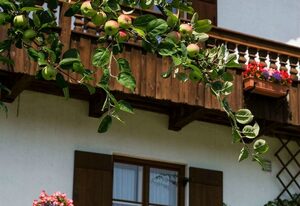 Haus Bergfreund – Ferienwohnung Watzmann, für 1-4 Pers, 73qm², 2 SZ, Balkon