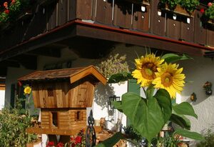 Gästehaus Gmundtal – Ferienwohnung Nr. 1 für 1-2 Pers., 40 m², SZ, Wohnküche, Balkon, Schlafsofa