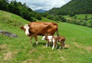 Ferienwohnungen Kilianmühle – Ferienwohnung Salzberg, für 2 Personen