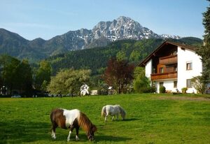 Gästehaus Binder – Doppelzimmer mit Dusche/WC, Balkon oder Terrasse