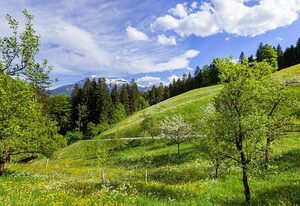 Pension Scheuerbichl – Ferienwohnung Alpenglühn, 50 m², 1-2 Pers., SZ,Kü,DU/WC,T