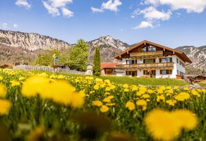 Ferienwohnung Roislerlehen – Ferienwohnung 3, Summatraum ca. 50 m², Wohn-/Schlafzimmer, Balkon