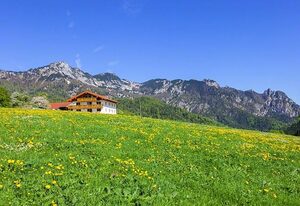 Ferienwohnung Roislerlehen – Ferienwohnung 3, Summatraum ca. 50 m², Wohn-/Schlafzimmer, Balkon