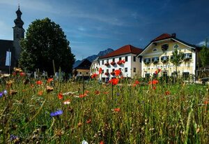 Haus Christ – Ferienwohnung- 4 Personen, 60 m², 1 Schlafzimmer,  Balkon