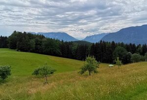 Ferienwohnung Reinbrechthof – Fewo - 4 Personen+, 70qm, 2 SZ, Balkon, Wohnküche, einzigartige Lage, WLAN