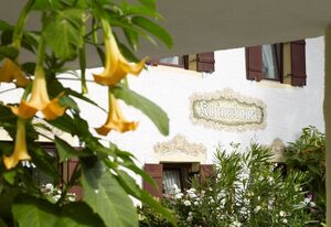 Kastnerhof – Ferienwohnung Bergblick 55 qm, 2 Schlafzimmer, Küche, Balkon, TV, 4 Pers.