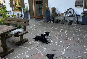 Landhaus Riemerfeld – Ferienwohnung Kehlsteinblick - 52qm - 2 Personen