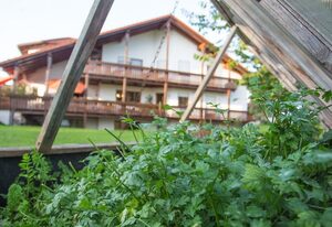 Auszeit-Wohnungen – Wohnung mit Erkerzimmer