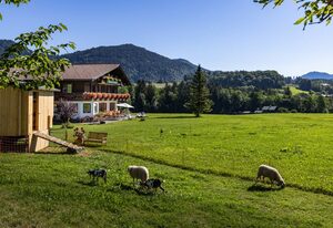 Wassererlehen – 3/4/5/7 Gamsbleame für 1-2 Pers., ca. 21 m²