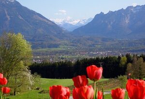 Huberbauernhof Ferienwohnungen – Ferienwohnung Salzburg 46 qm 4 Personen, 1 Schlafzimmer, Terrasse