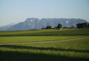 Ferienwohnung Öderhof – Ferienwohnung, 84qm, 3 Schlafzimmer und Terrasse