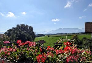 Ferienwohnungen auf dem Paulbauernhof – Ferienwohnung Haunsberg, 55qm, 1 Schlafzimmer, Balkon mit Bergblick