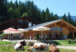 Alpengasthof Götschenalm – Doppelzimmer Nr. 2 oder 7 mit Dusche/WC, Terrasse oder Balkon, TV