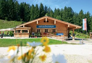 Alpengasthof Götschenalm – Doppelzimmer Nr. 2 oder 7 mit Dusche/WC, Terrasse oder Balkon, TV